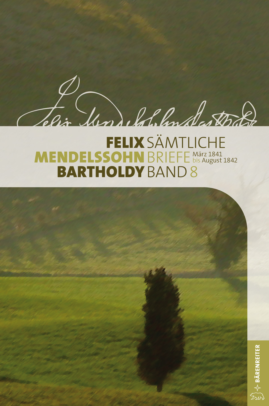 Vorderes Coverbild Sämtliche Briefe, Band 8