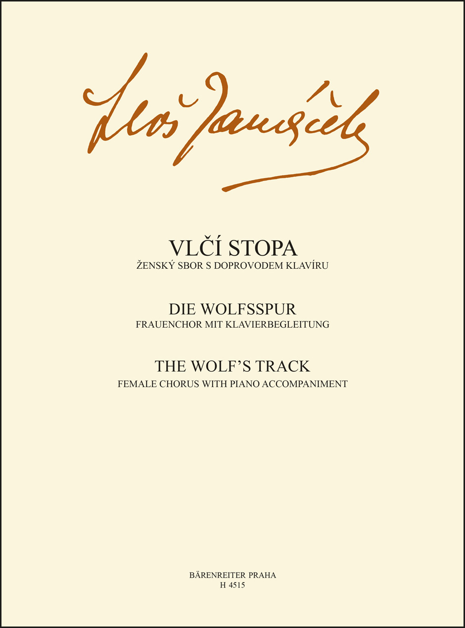Vorderes Coverbild Wolfsspur