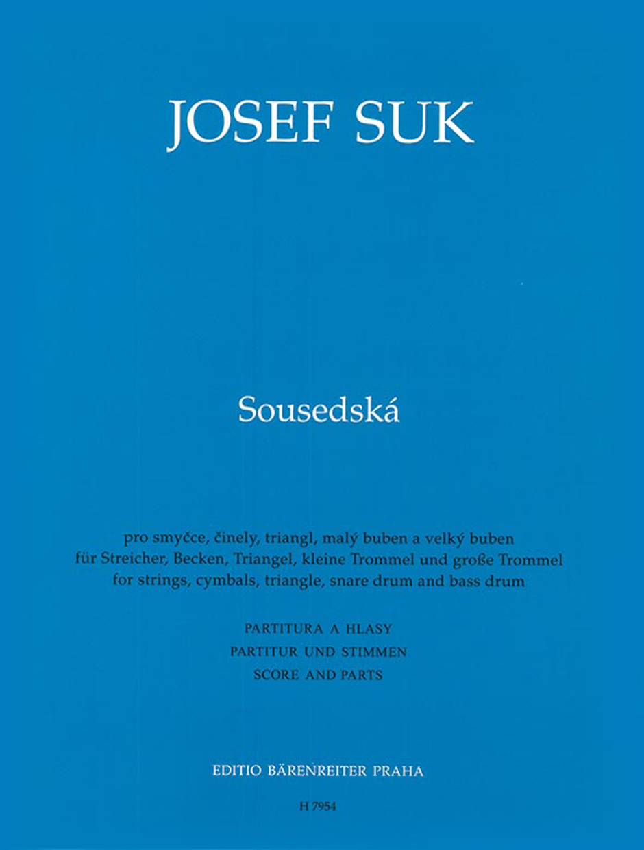 Vorderes Coverbild Sousedská