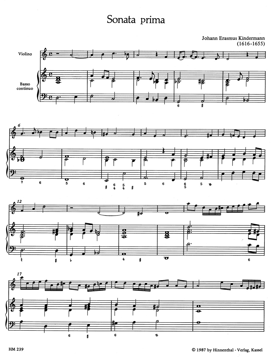 Anderes Coverbild Zwei Sonaten für Violine (Sopran- oder Tenorblockflöte) und Basso continuo