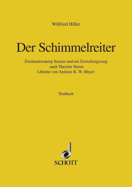 Vorderes Coverbild Der Schimmelreiter 