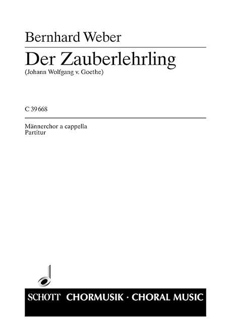 Vorderes Coverbild Der Zauberlehrling 