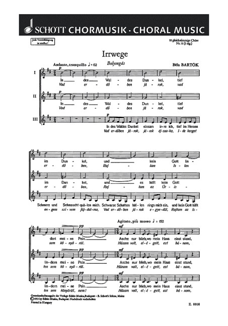Vorderes Coverbild 18 Chorlieder 