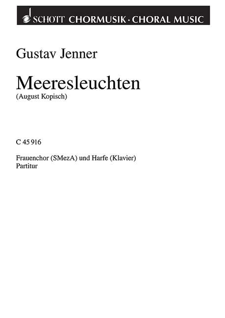 Vorderes Coverbild Meeresleuchten 