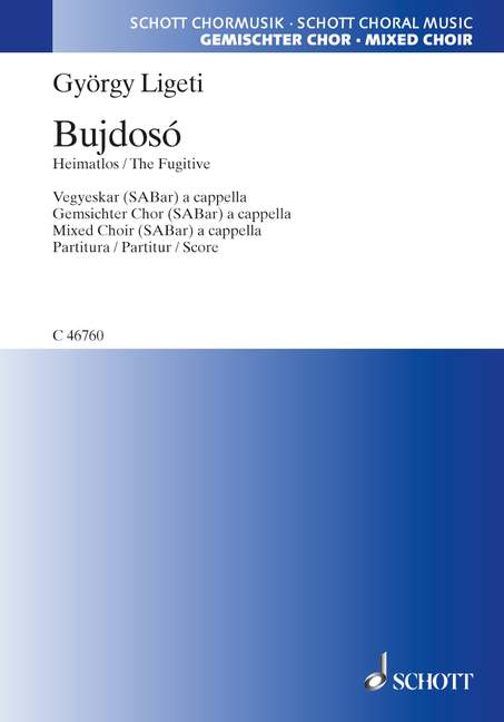 Vorderes Coverbild Bujdosó - Bedrückung 