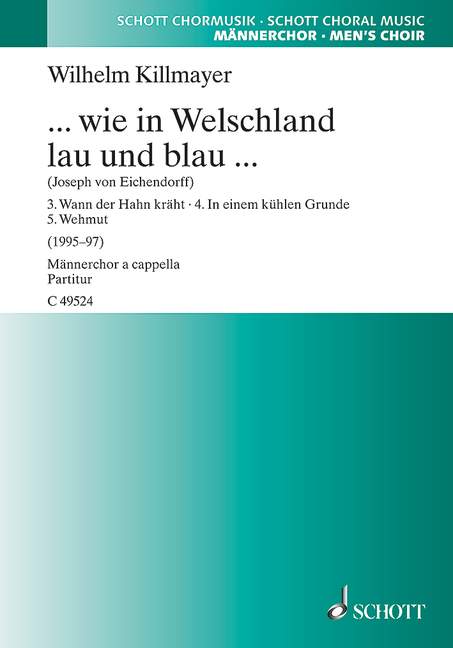 Vorderes Coverbild ... wie in Welschland lau und blau ... 