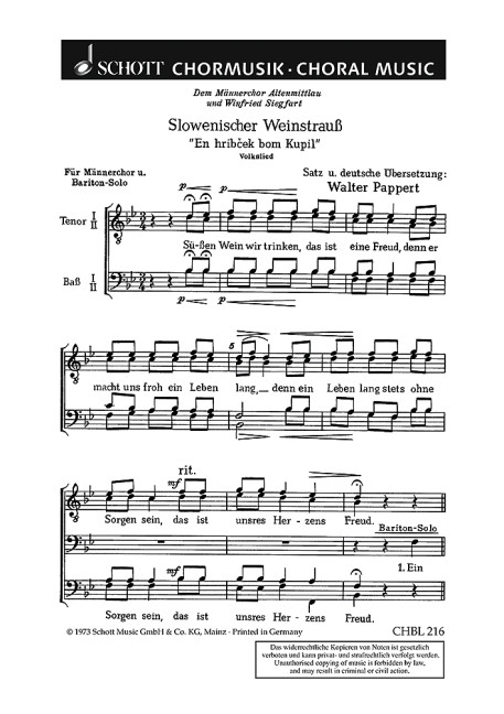Vorderes Coverbild Slowenischer Weinstrauß 