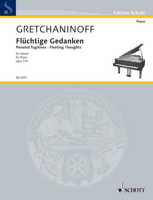 Vorderes Coverbild Flüchtige Gedanken op. 115 