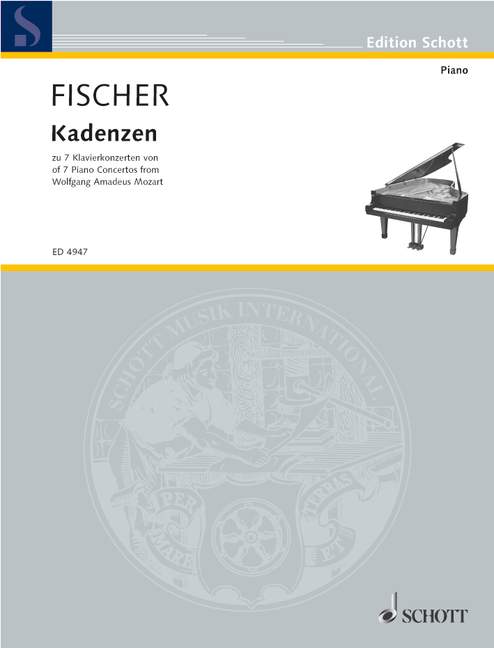 Vorderes Coverbild Kadenzen 