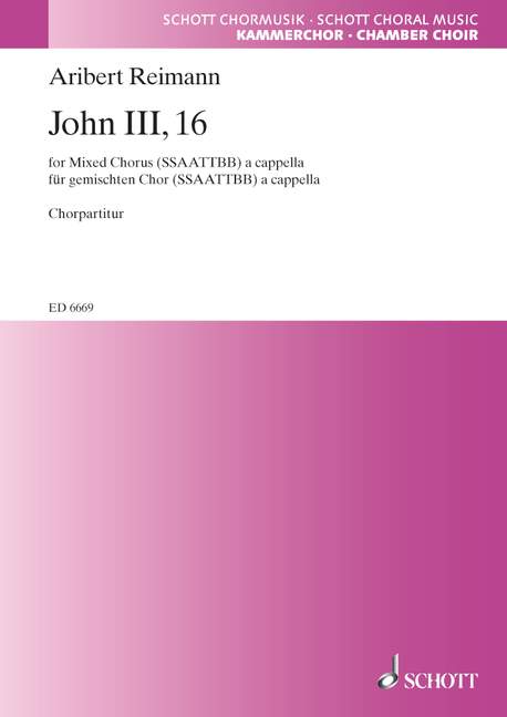 Vorderes Coverbild John III, 16 