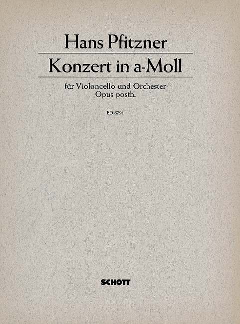 Vorderes Coverbild Konzert a-Moll op. posth. 