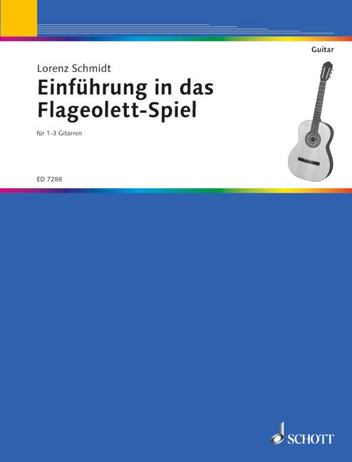 Vorderes Coverbild Einführung in das Flageolett-Spiel 