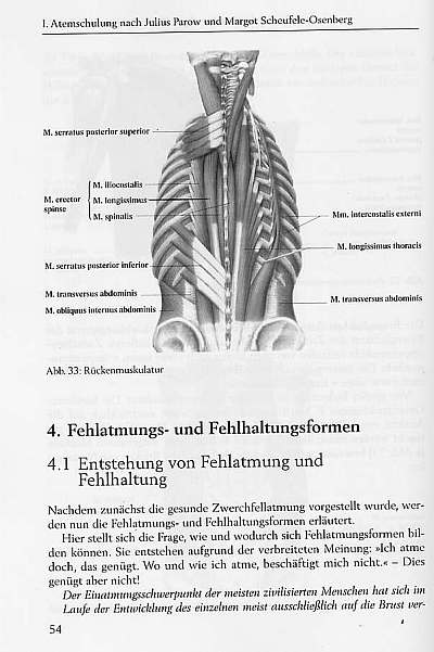 Anderes Coverbild Die Atemschule 