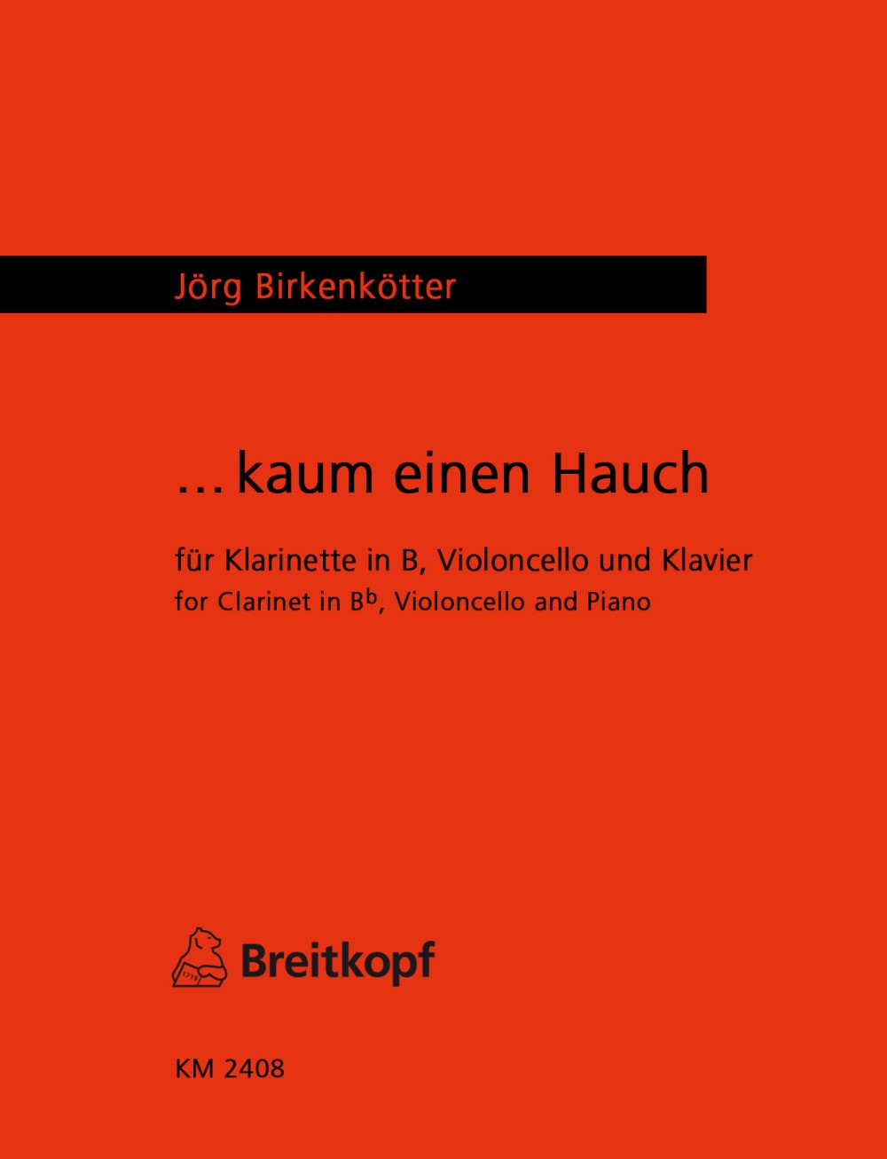 Vorderes Coverbild Kaum einen Hauch