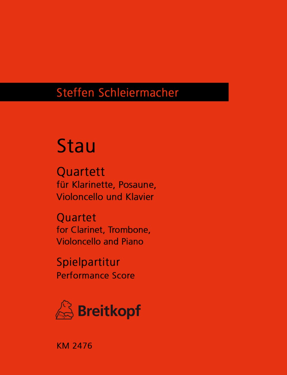 Vorderes Coverbild Stau