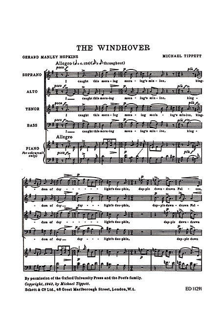 Vorderes Coverbild The Windhover 