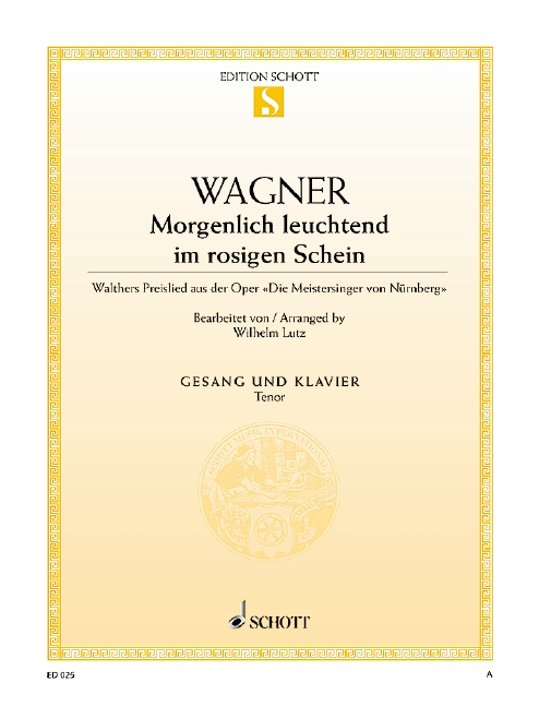Vorderes Coverbild Morgenlich leuchtend im rosigen Schein 