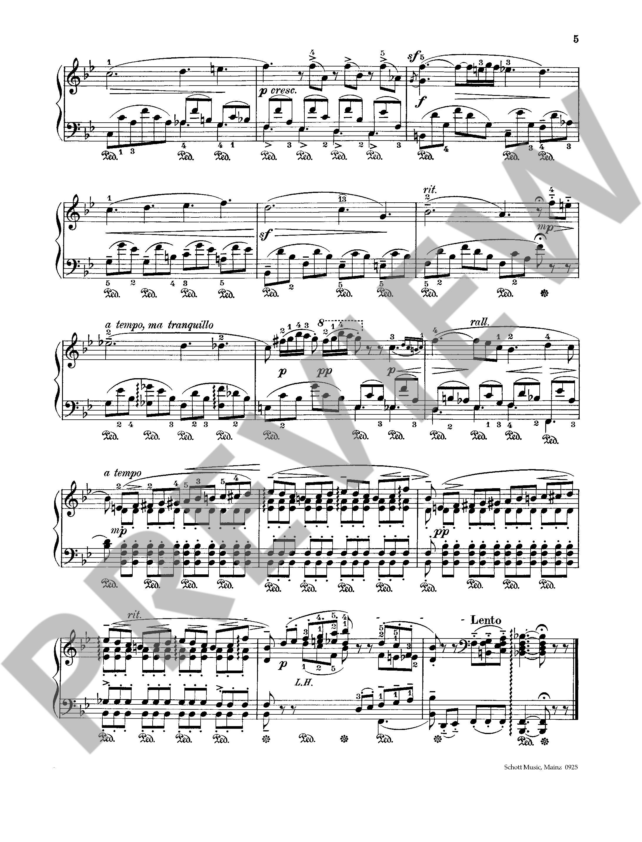 Anderes Coverbild Nocturne No. 5 