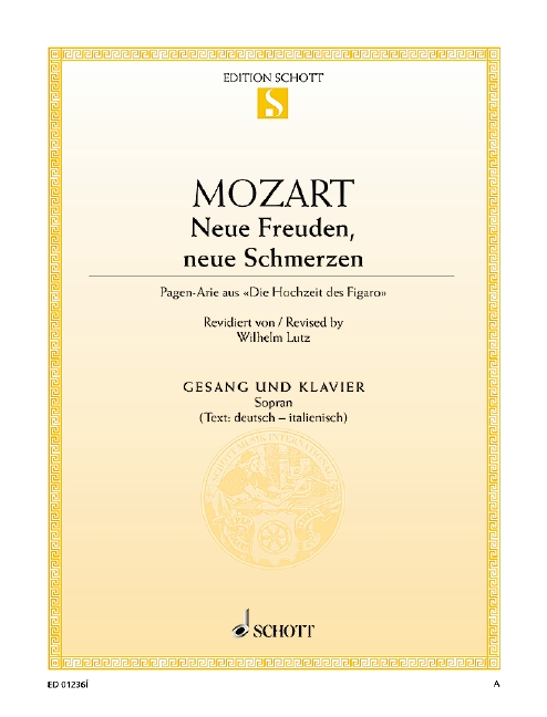 Vorderes Coverbild Neue Freuden, neue Schmerzen 