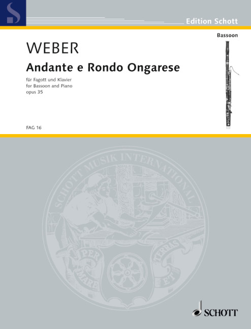 Vorderes Coverbild Andante e Rondo Ongarese op. 35 