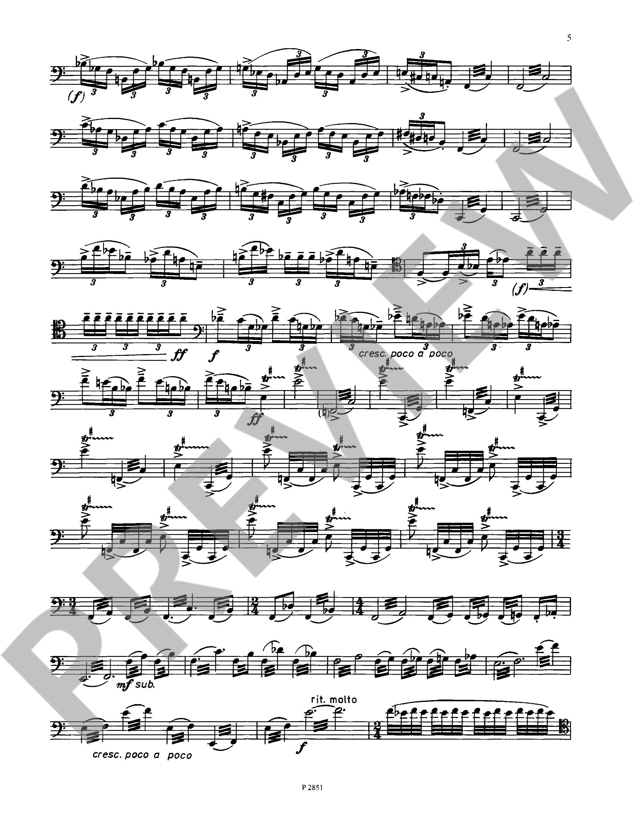 Anderes Coverbild Solo für Herrn Dulzian 