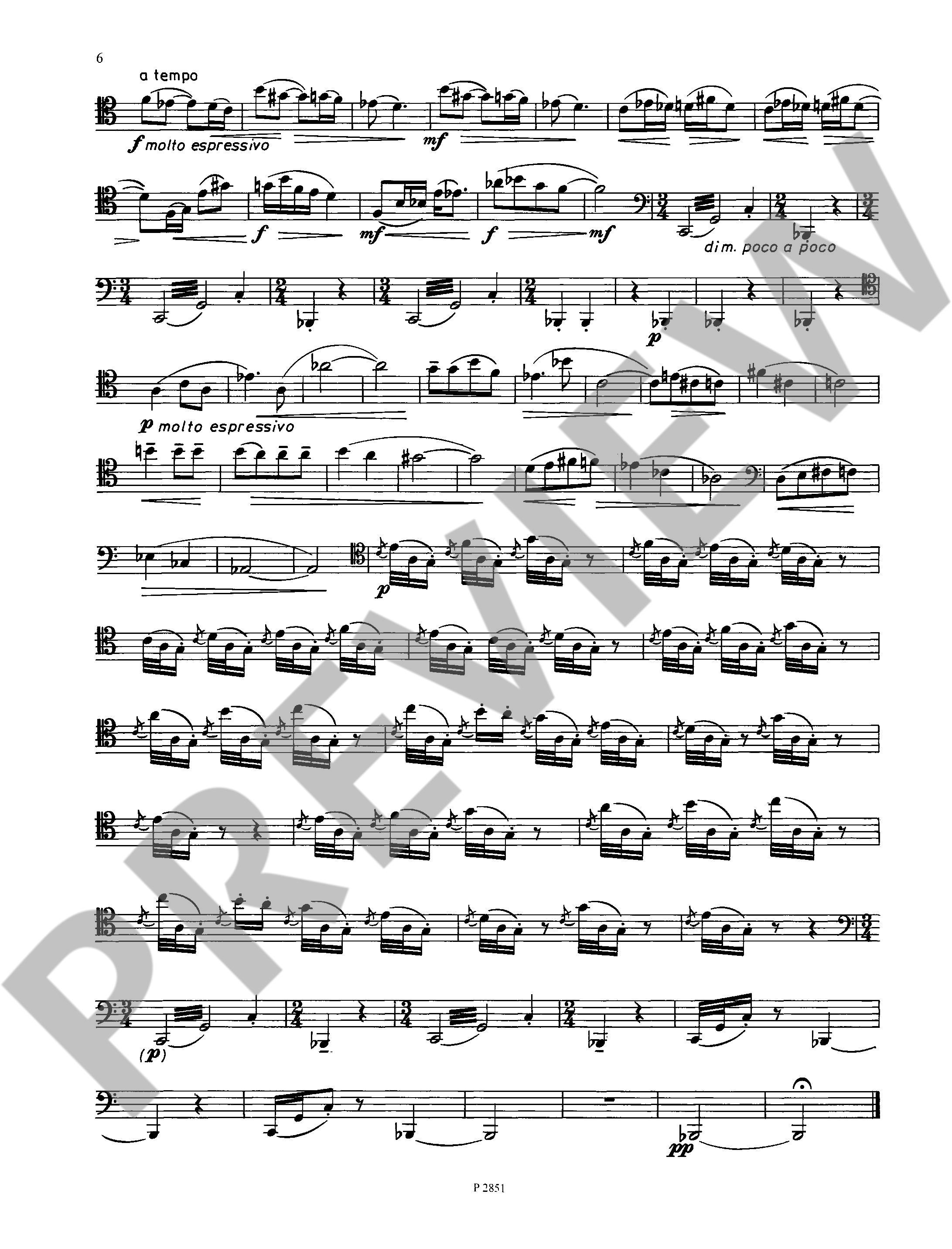 Anderes Coverbild Solo für Herrn Dulzian 