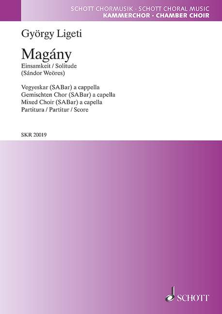 Vorderes Coverbild Magány 