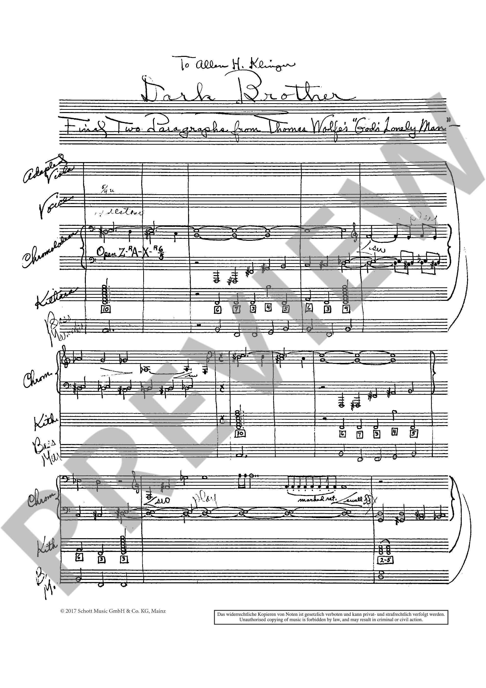 Anderes Coverbild Dark Brother 