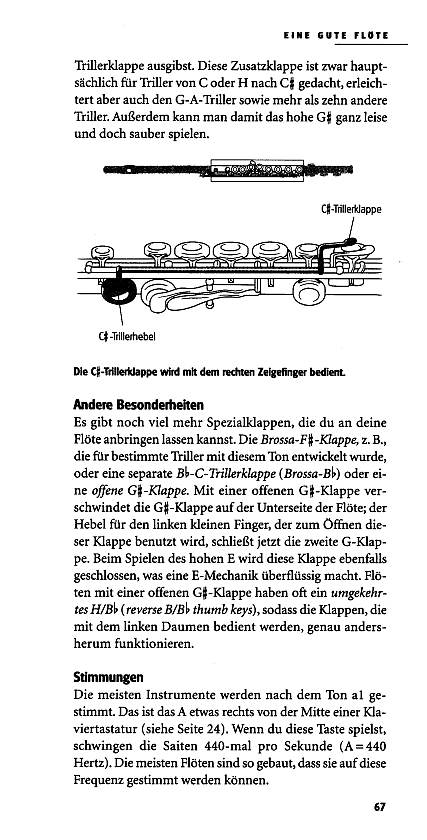 Anderes Coverbild Pocket-Info Querflöte und Piccolo 