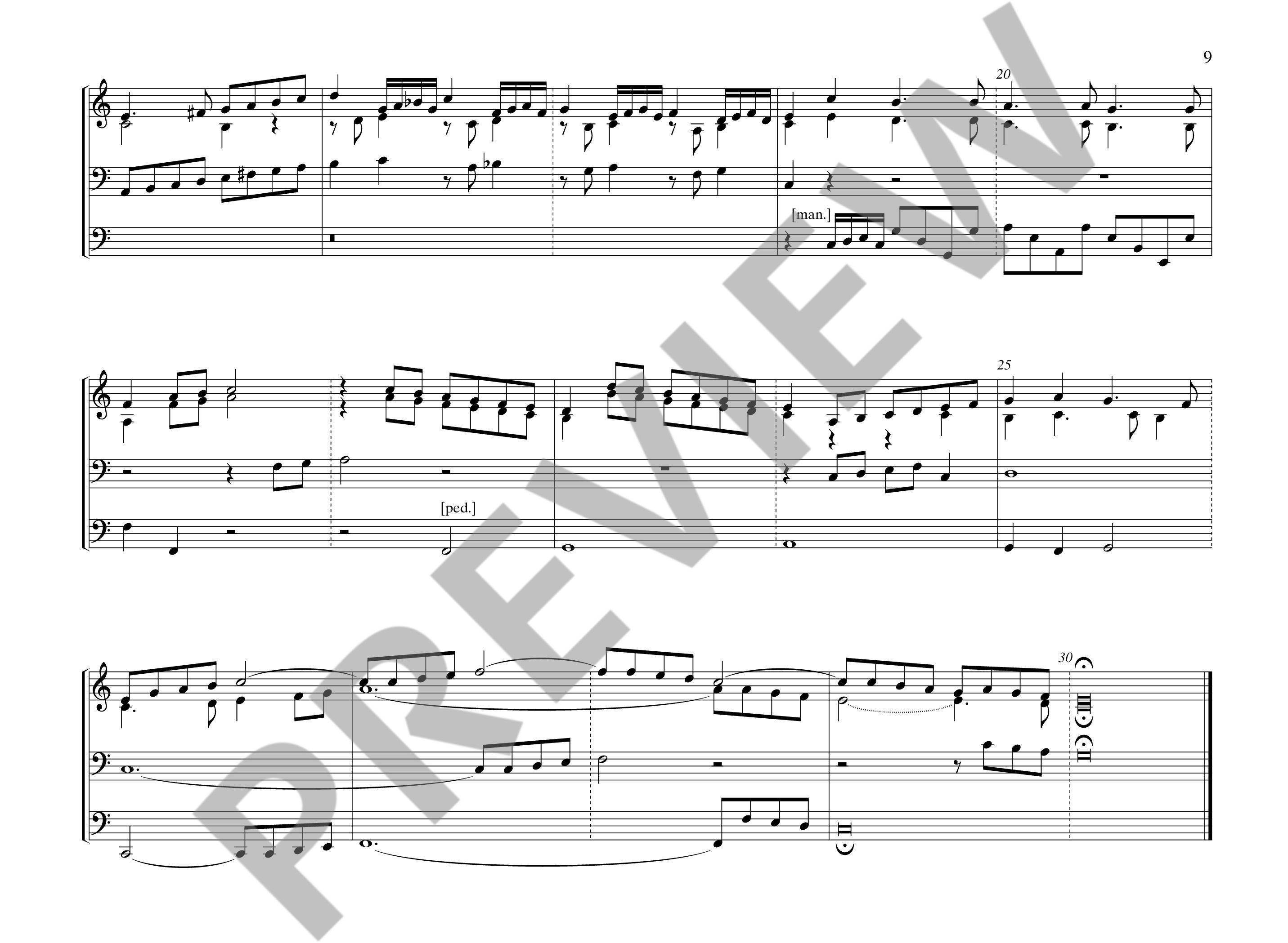 Anderes Coverbild Sämtliche Orgelwerke Band 10