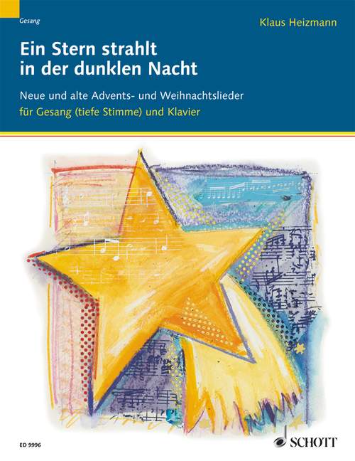 Vorderes Coverbild Ein Stern strahlt in der dunklen Nacht 