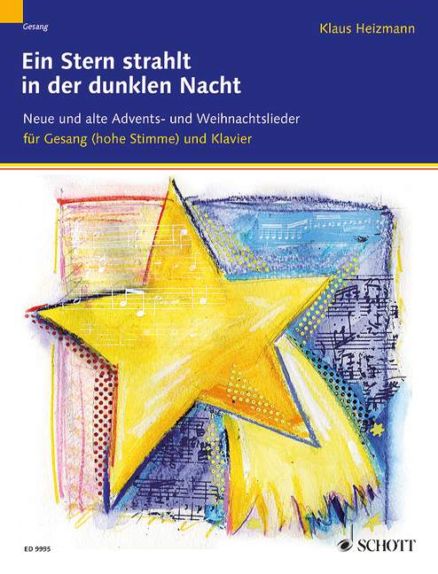 Vorderes Coverbild Ein Stern strahlt in der dunklen Nacht 