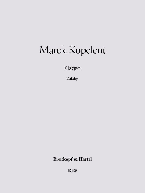 Anderes Coverbild Zaloby/Klagen