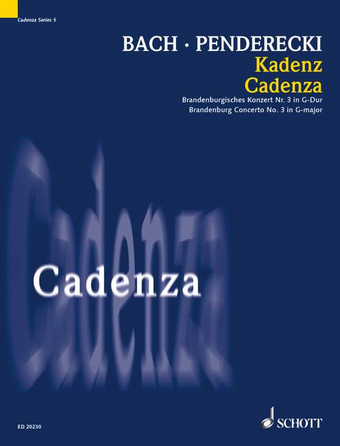 Vorderes Coverbild Kadenz Band 5