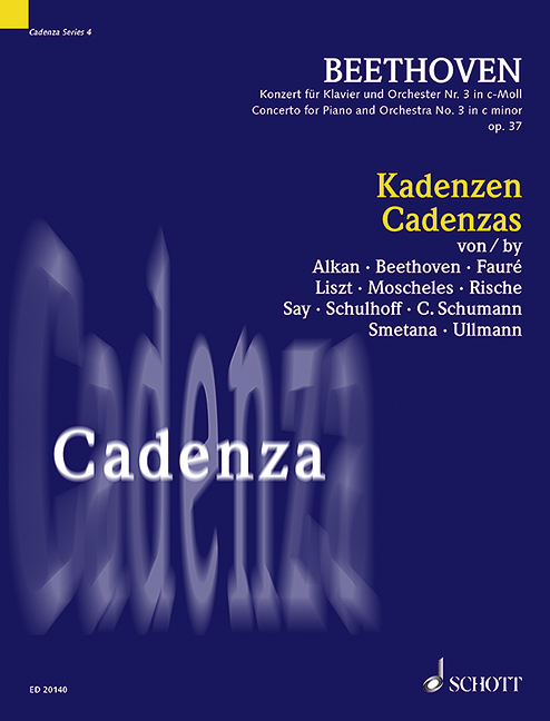 Vorderes Coverbild Kadenzen Band 4