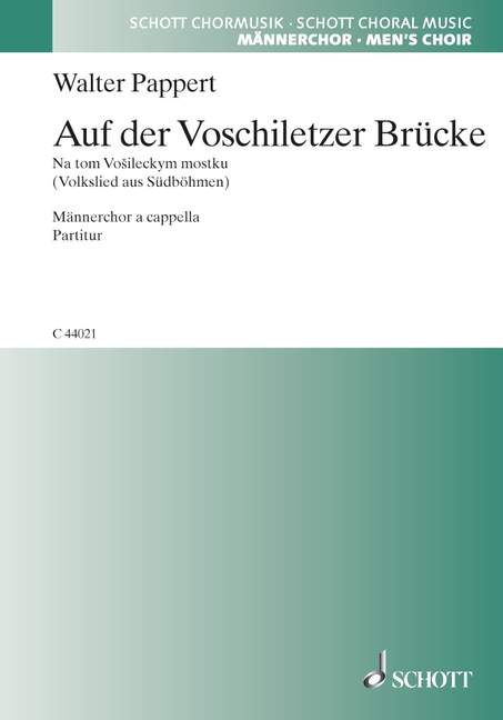 Vorderes Coverbild Auf der Voschiletzer Brücke 