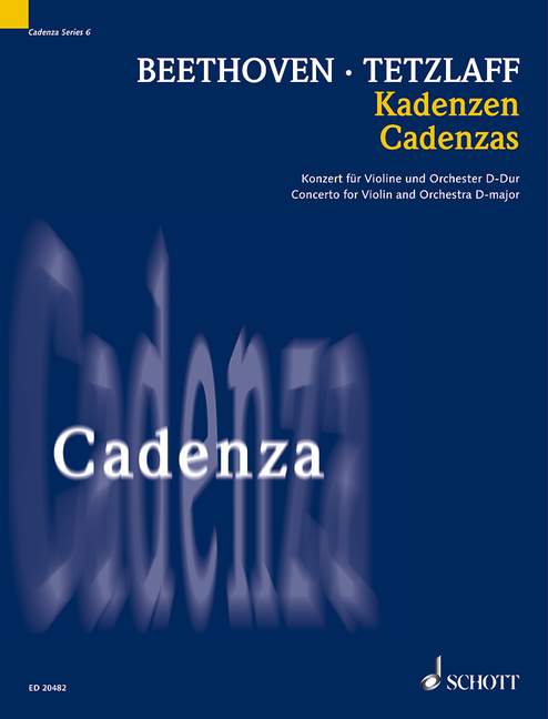 Vorderes Coverbild Kadenzen Band 6