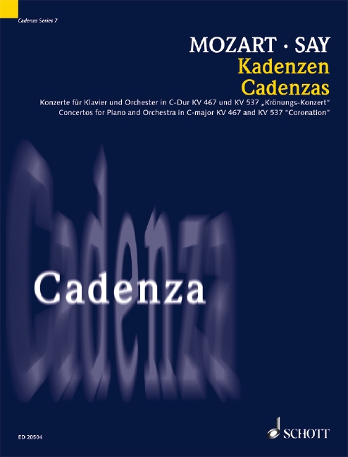 Vorderes Coverbild Kadenzen Band 8