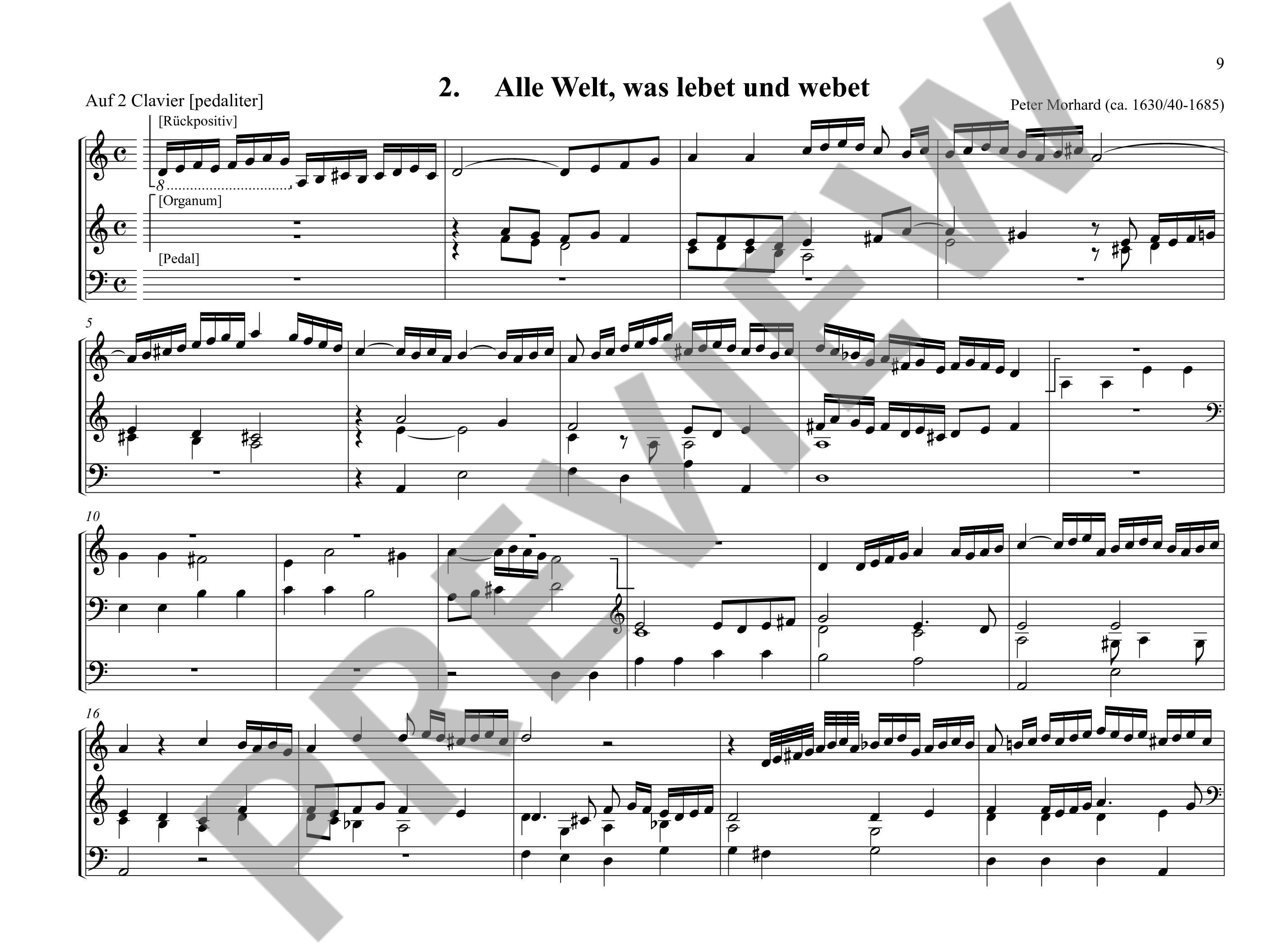 Anderes Coverbild Sämtliche Orgelwerke Band 19