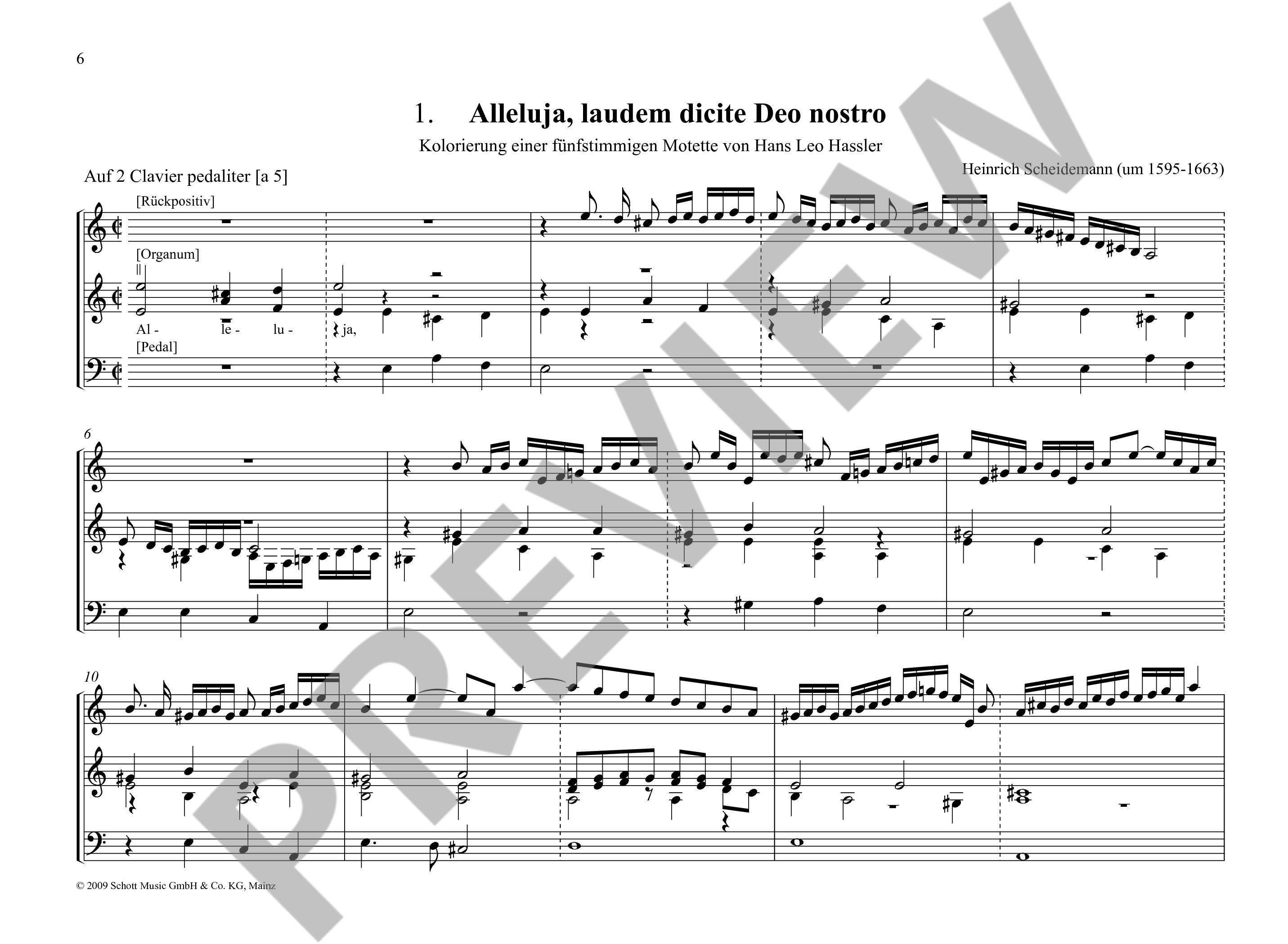 Anderes Coverbild Sämtliche Orgelwerke Band 22