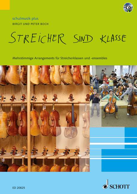 Vorderes Coverbild Streicher sind klasse 