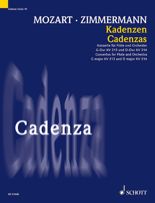 Vorderes Coverbild Kadenzen Band 10