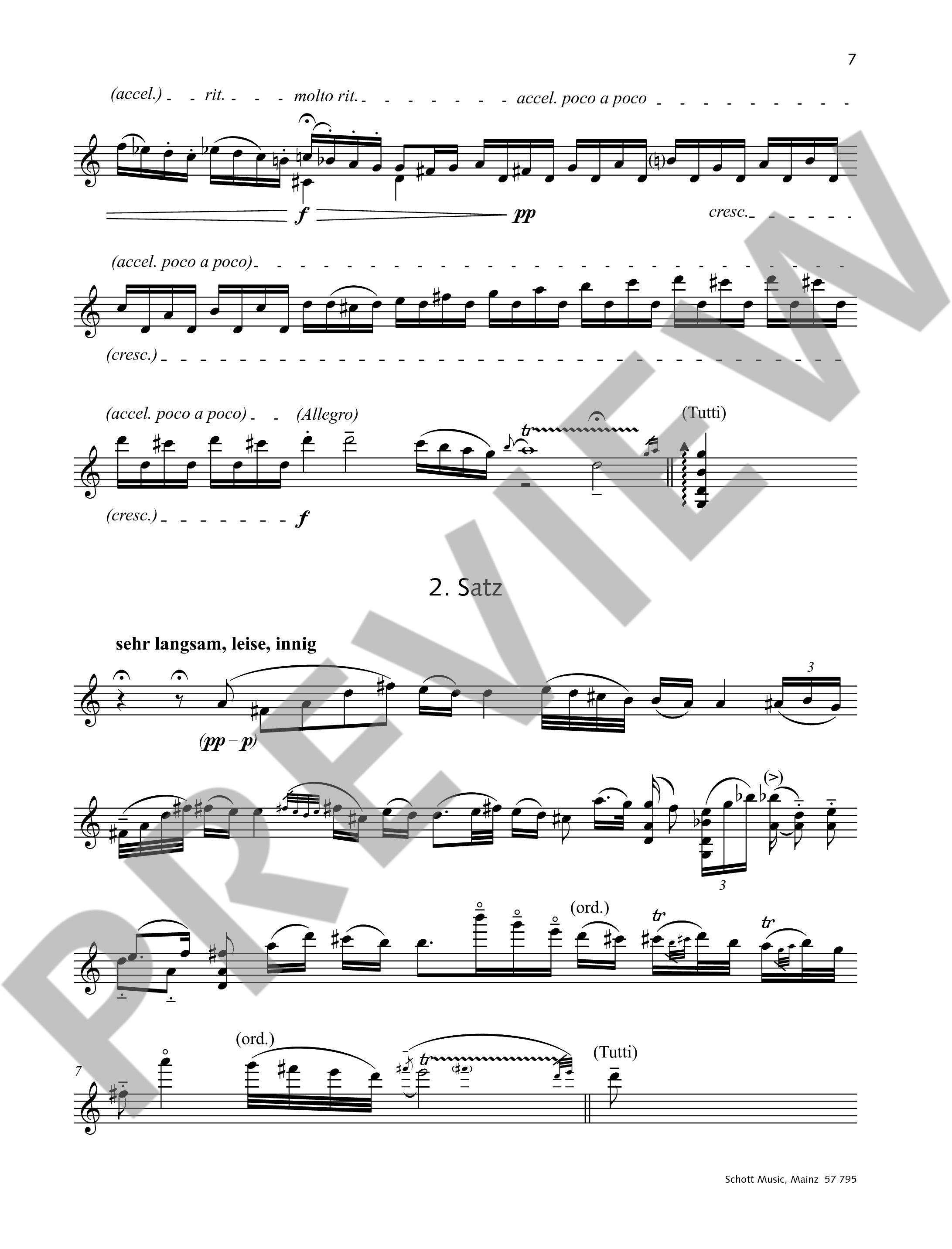 Anderes Coverbild Kadenzen KV 216 Band 12