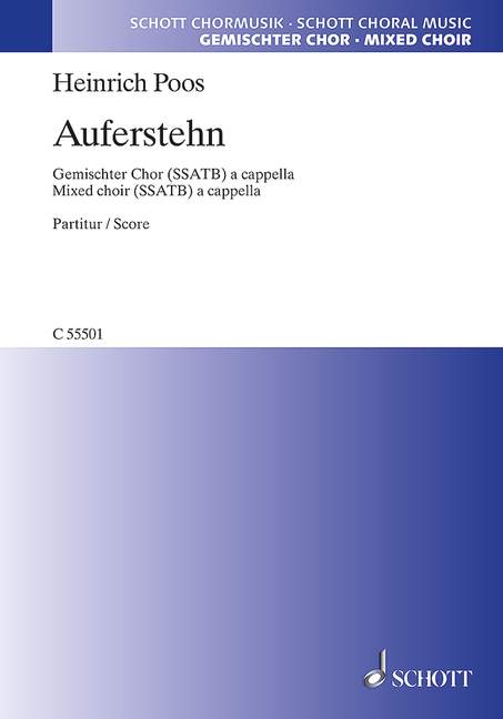 Vorderes Coverbild Auferstehn 