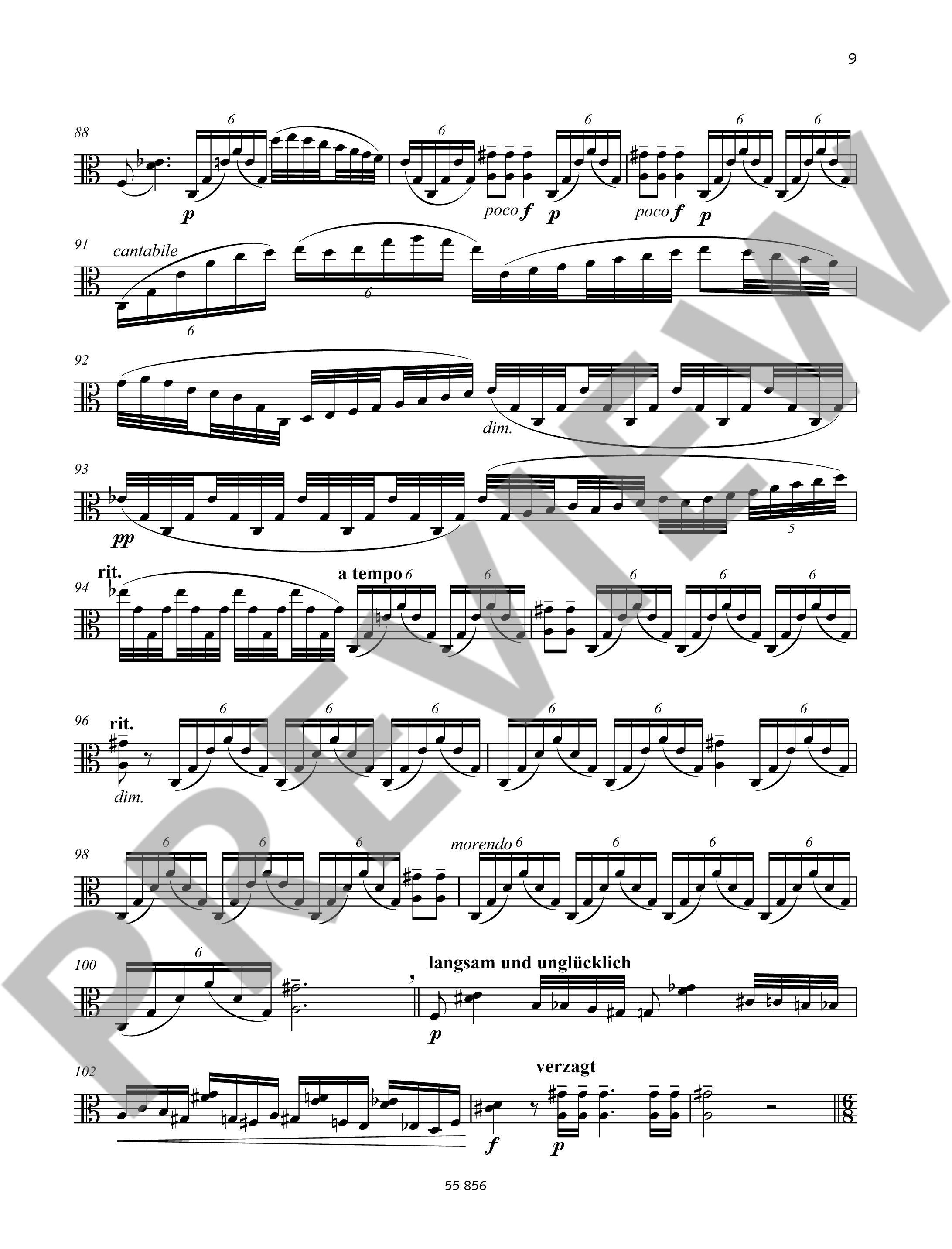 Anderes Coverbild Kamfu 