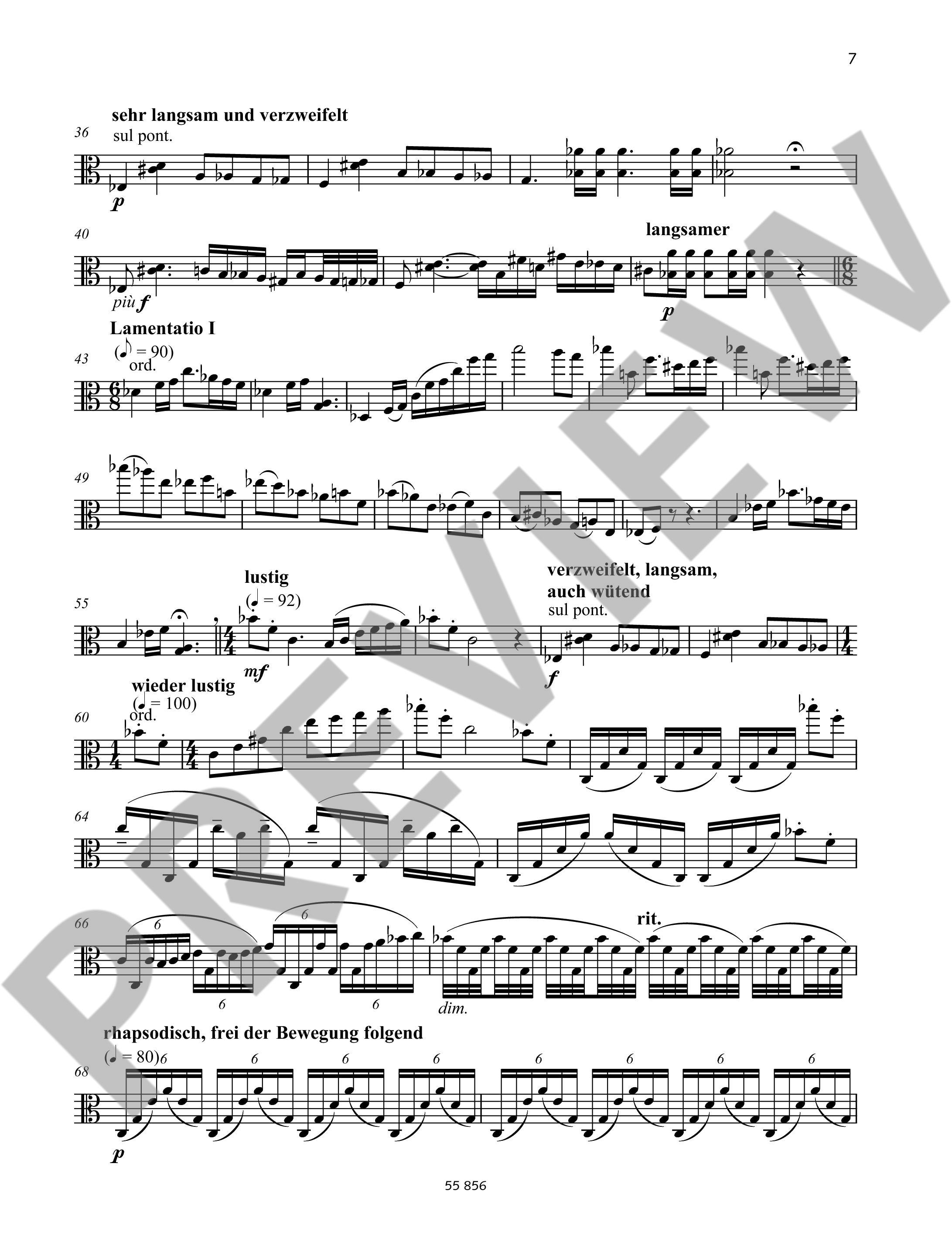 Anderes Coverbild Kamfu 