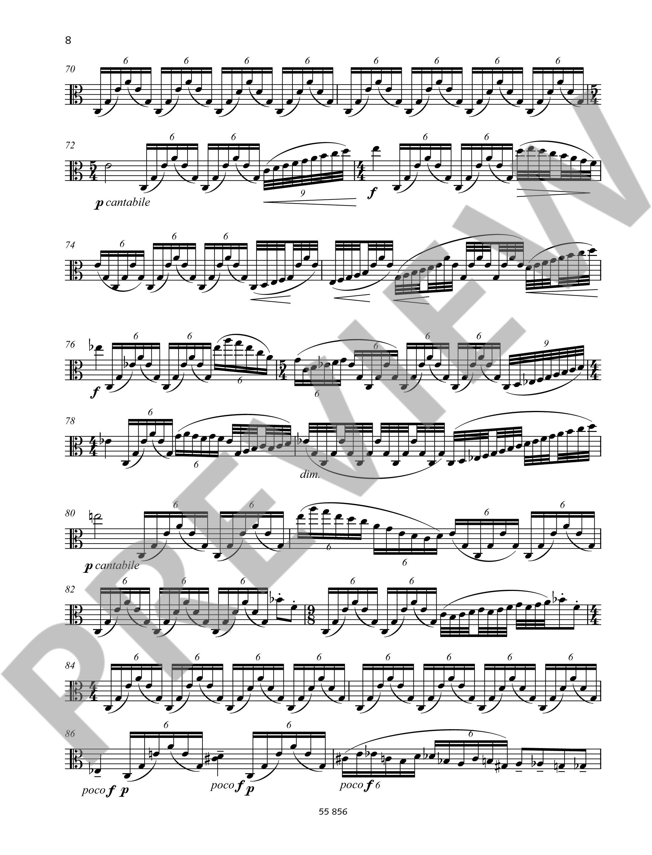 Anderes Coverbild Kamfu 