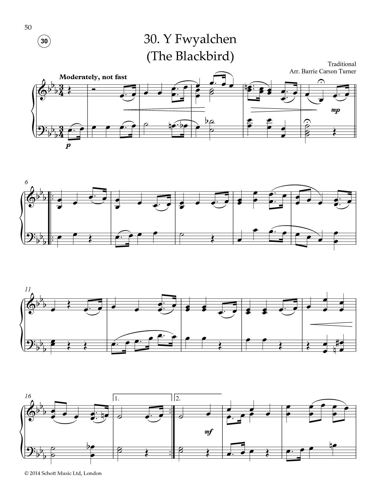 Anderes Coverbild Welsh Folk Tunes for Piano 