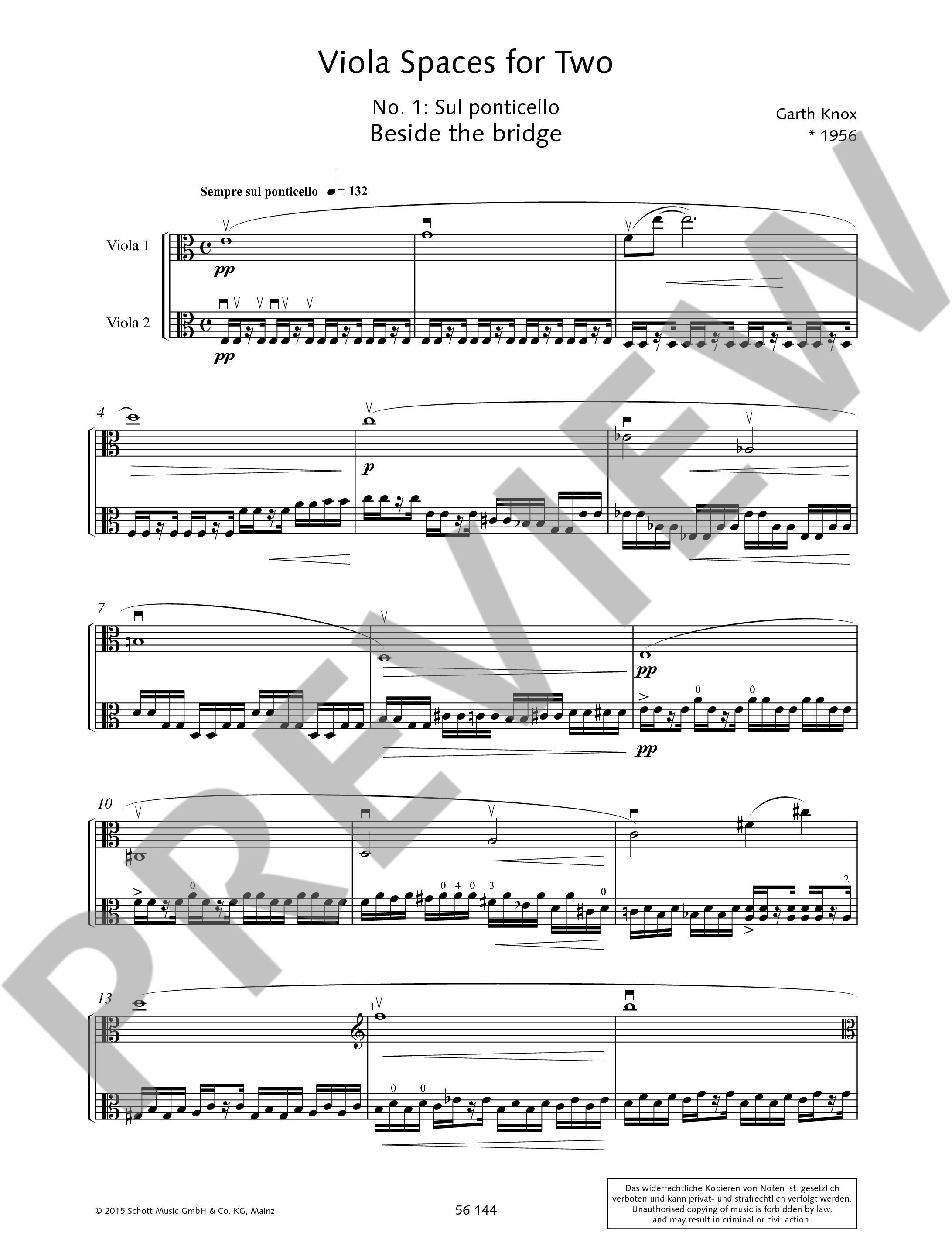Anderes Coverbild Viola Spaces for Two 