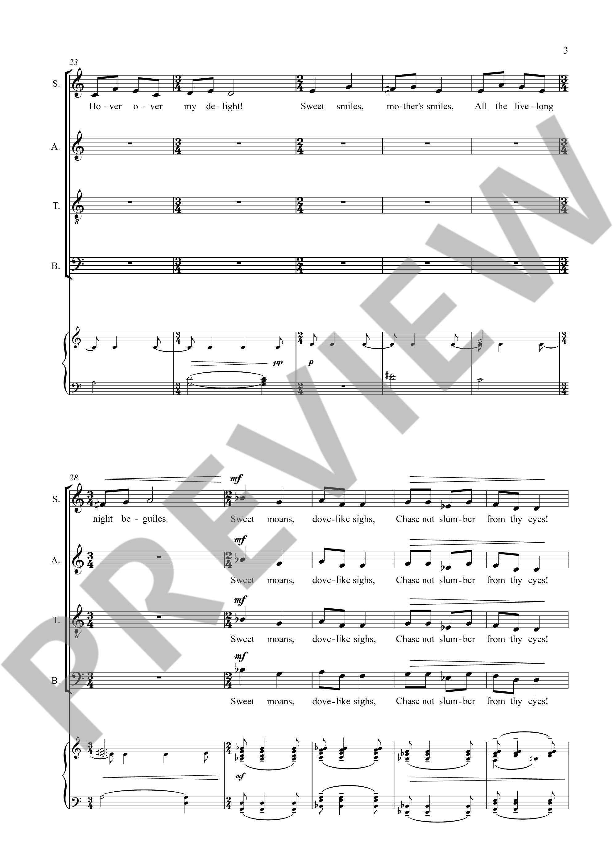 Anderes Coverbild A Cradle Song 